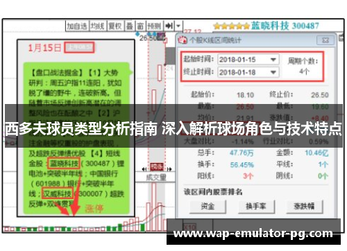 西多夫球员类型分析指南 深入解析球场角色与技术特点