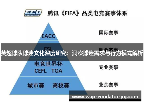英超球队球迷文化深度研究：洞察球迷需求与行为模式解析