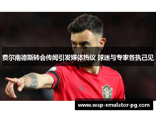 费尔南德斯转会传闻引发媒体热议 球迷与专家各执己见