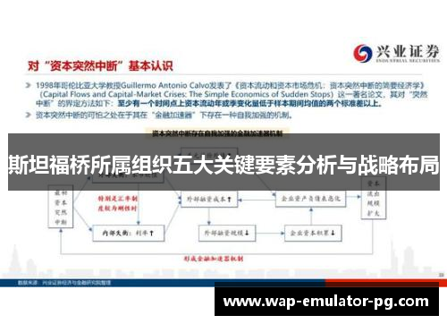 斯坦福桥所属组织五大关键要素分析与战略布局