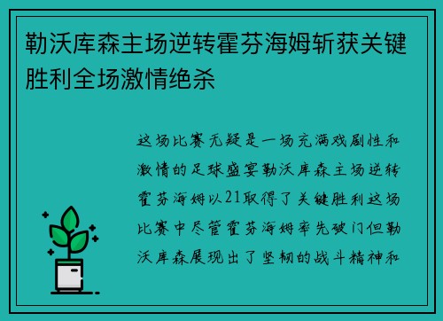勒沃库森主场逆转霍芬海姆斩获关键胜利全场激情绝杀 勒沃库森主场逆转霍芬海姆斩获关键胜利全场激情绝杀